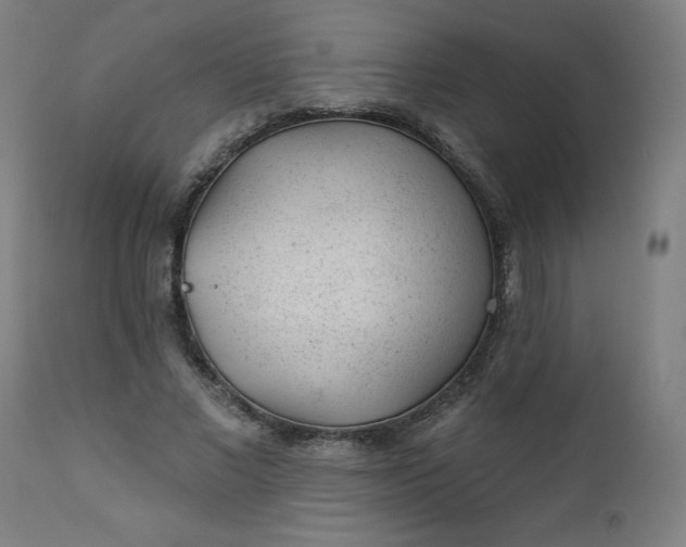 X0000112920685200909080934