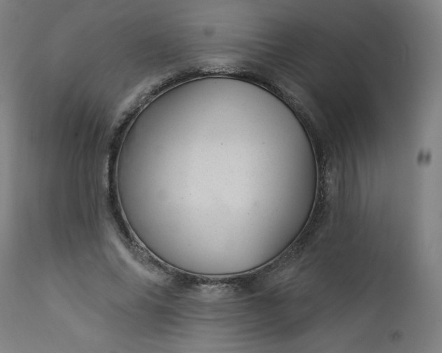 X0000112920686200909080934