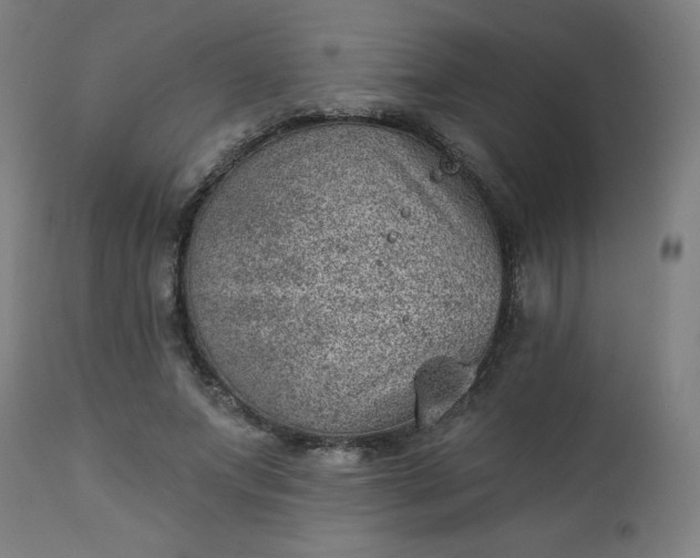 X0000112920687200909080934