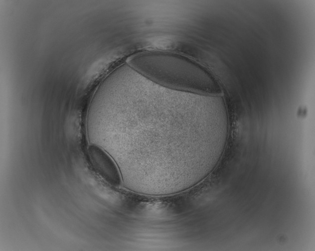 X0000112920688200909080934