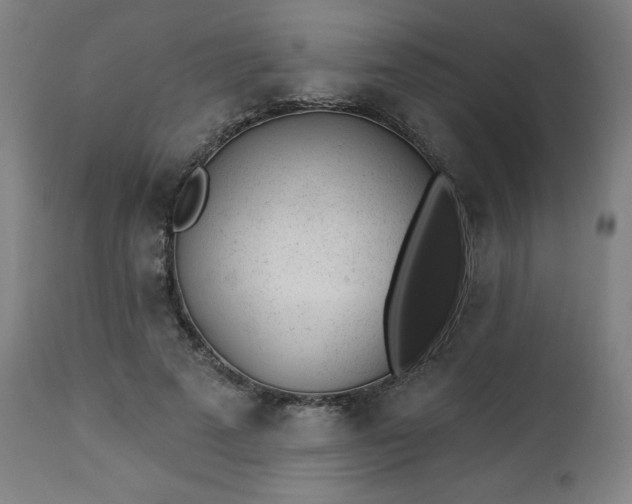 X0000112920689200909080934