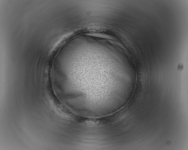 X0000112920690200909080934