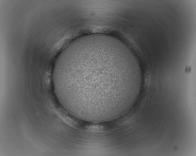 X0000112920691200909080934