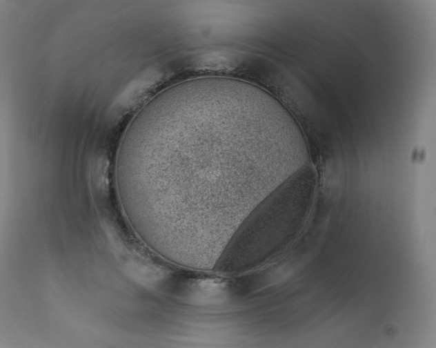 X0000112920692200909080934