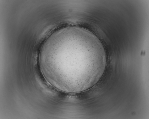 X0000112920694200909080934