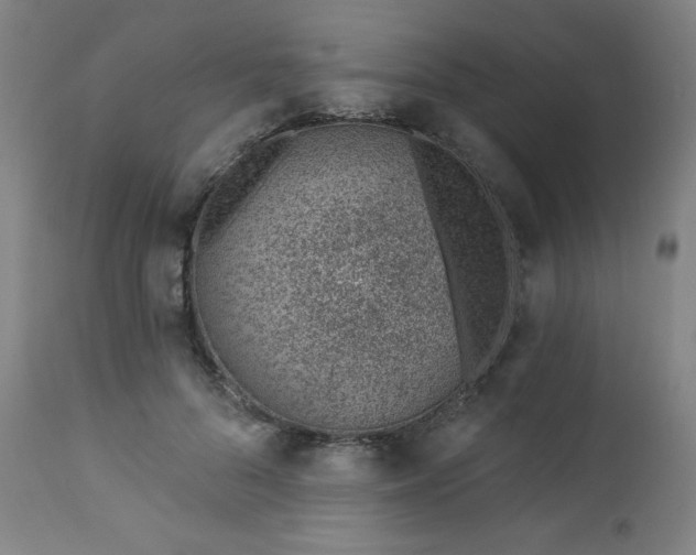 X0000112920696200909080934