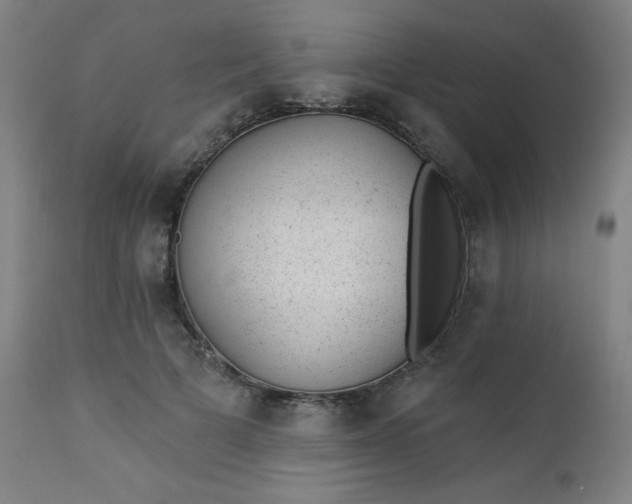 X0000112920697200909080934