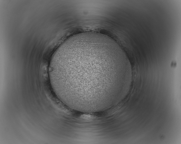 X0000112920699200909080934