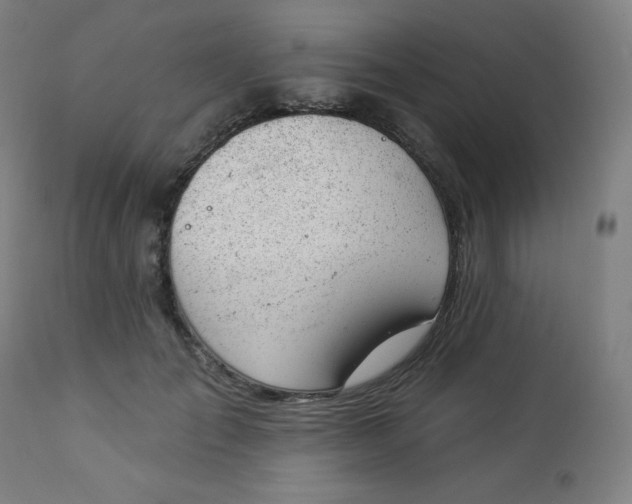 X0000112920701200909080934
