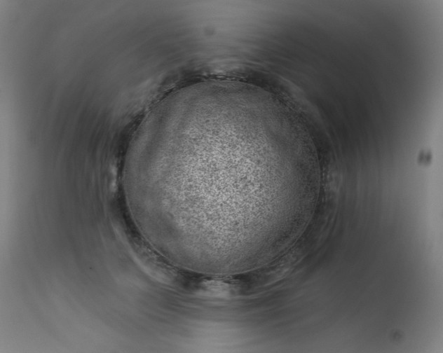 X0000112920703200909080934