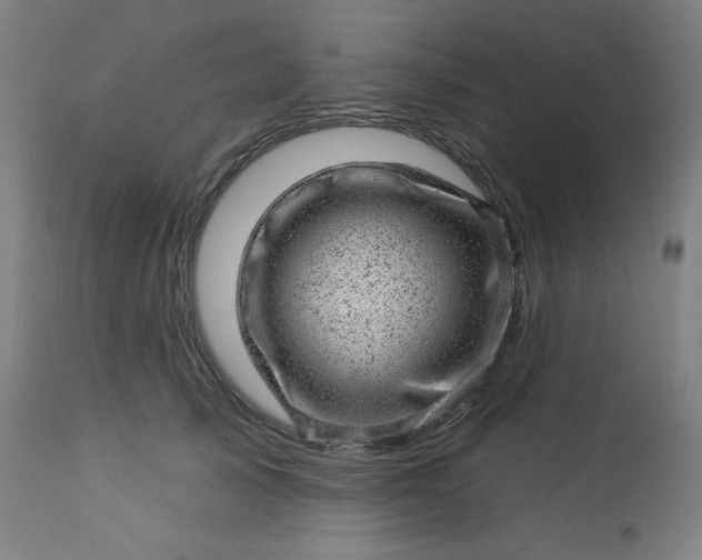 X0000112920705200909080934