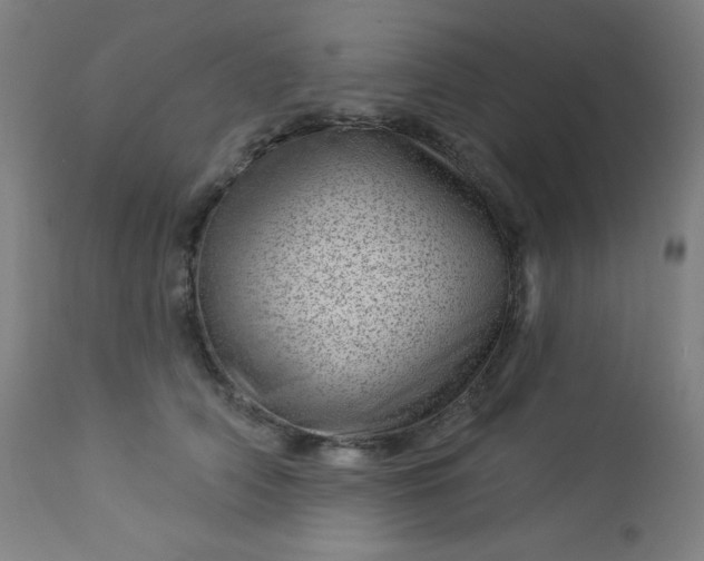 X0000112920706200909080934