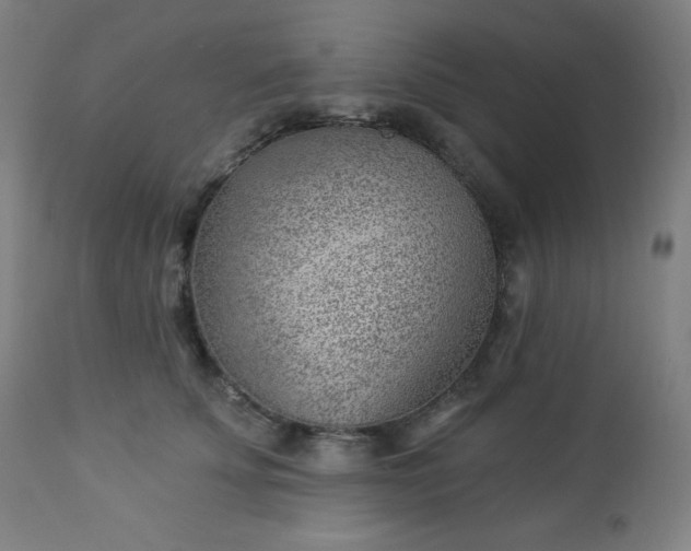 X0000112920707200909080934