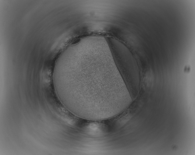 X0000112920708200909080934