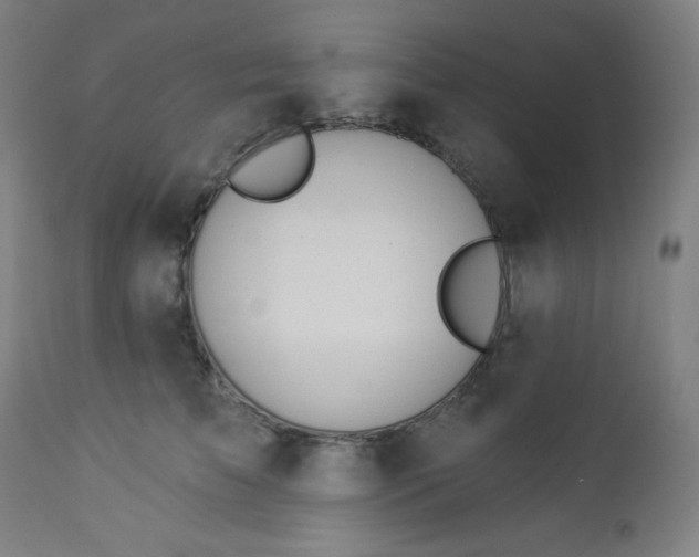 X0000112920709200909080934