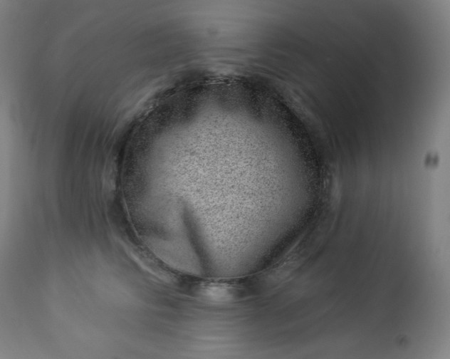 X0000112920710200909080934