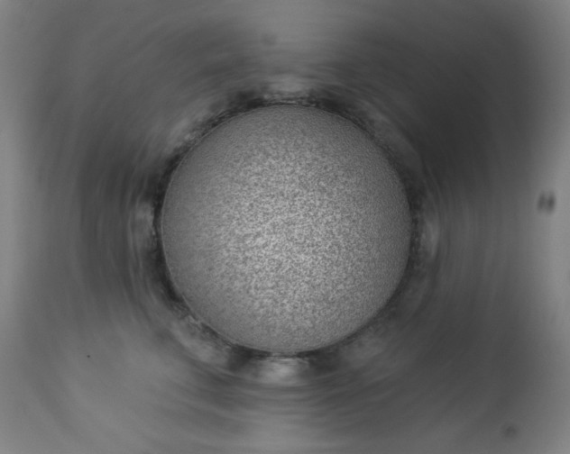 X0000112920711200909080934