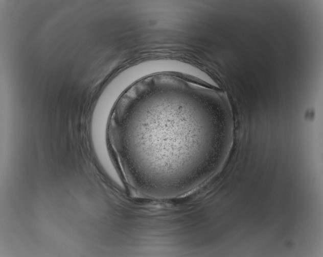 X0000112920712200909080934