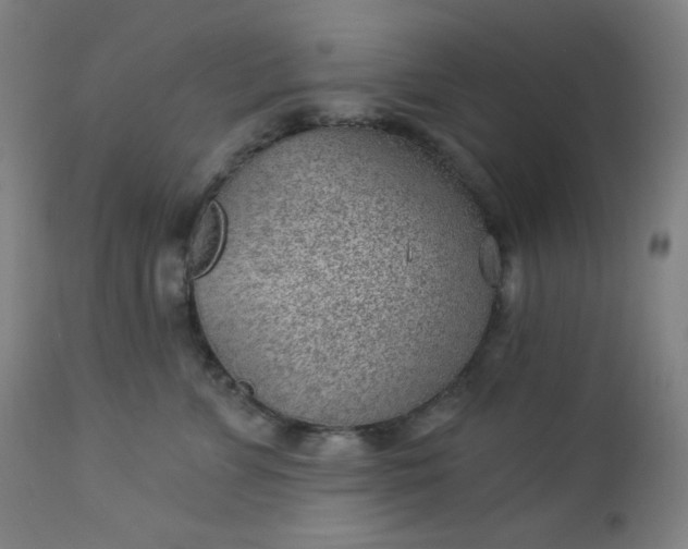 X0000112920715200909080934