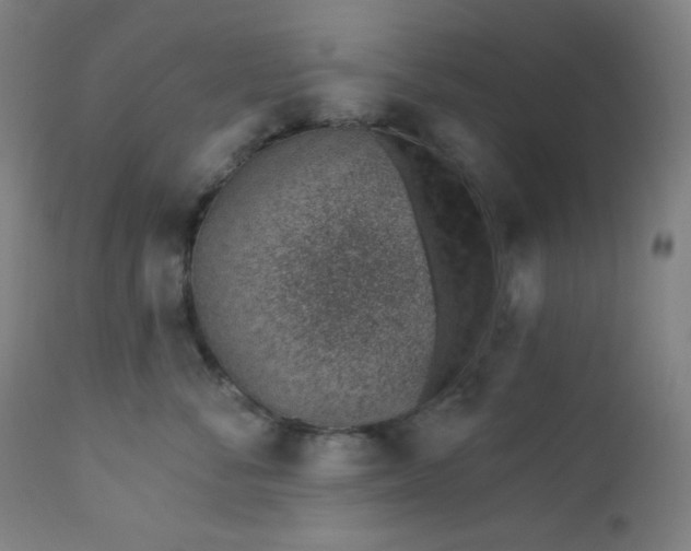 X0000112920716200909080934