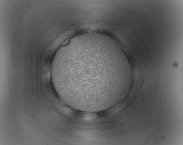 X0000112920719200909080934