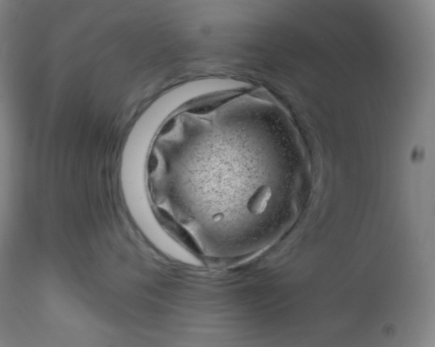 X0000112920720200909080934