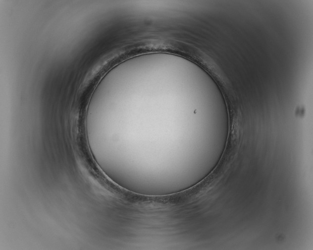 X0000112920722200909080933