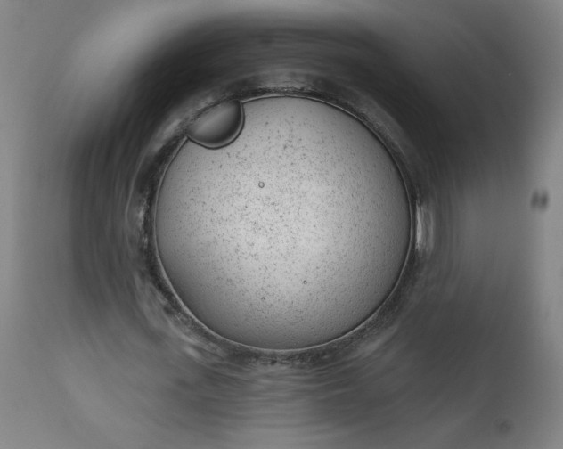 X0000112920723200909080933
