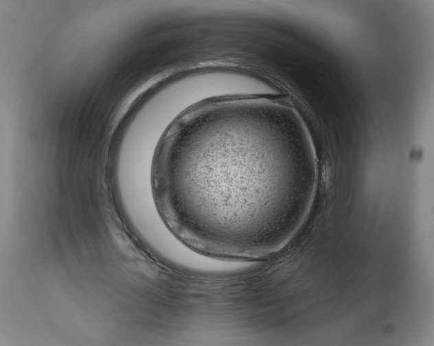 X0000112920724200909080933