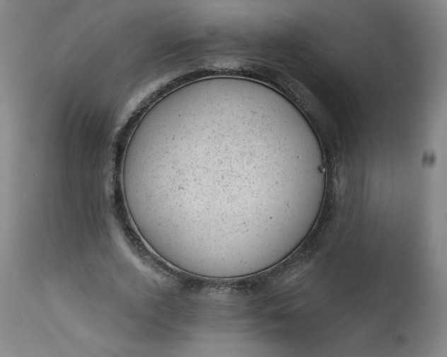 X0000112920728200909080933