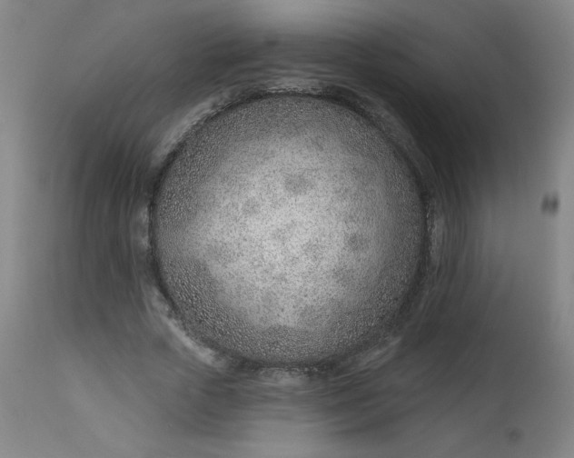 X0000112920729200909080933