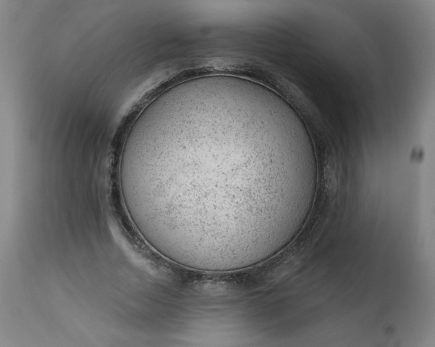 X0000112920730200909080933