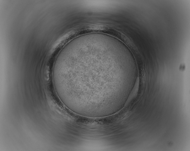 X0000112920731200909080933