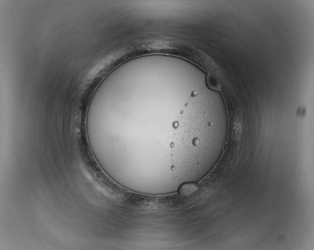 X0000112920732200909080933