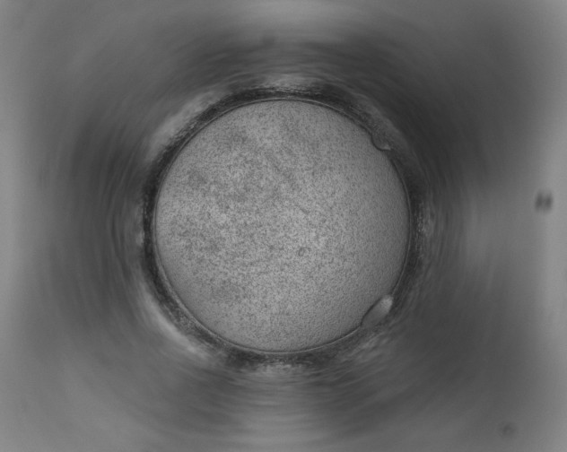 X0000112920734200909080933
