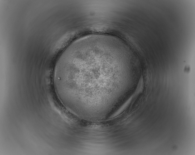 X0000112920738200909080933