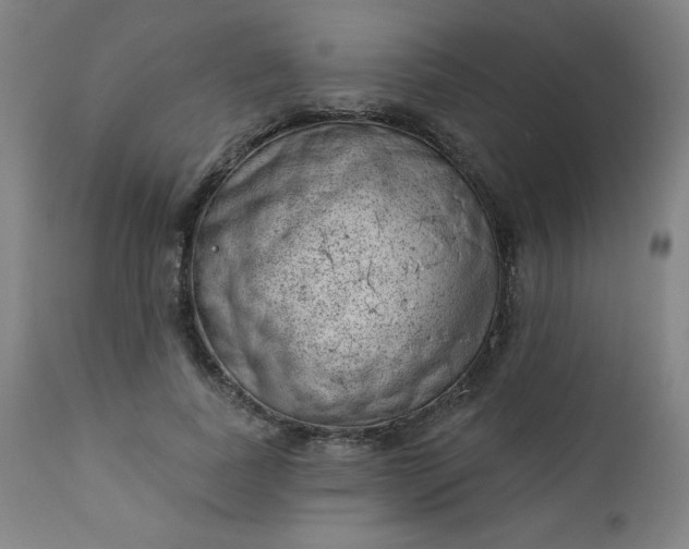 X0000112920739200909080933