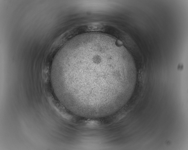 X0000112920741200909080933