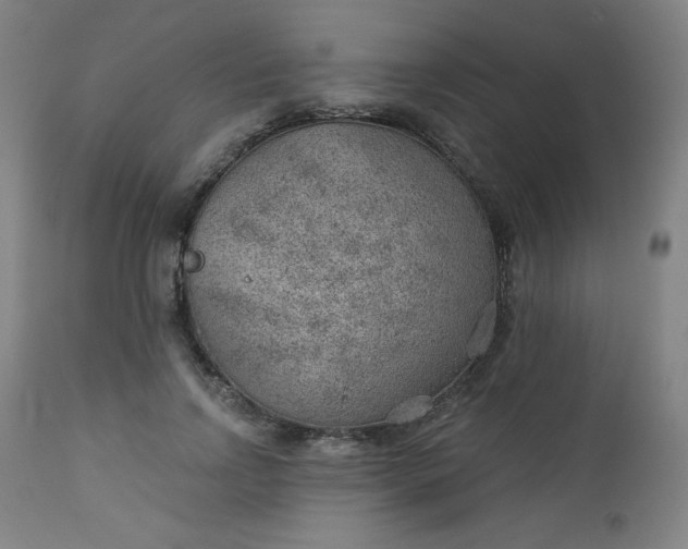 X0000112920742200909080933
