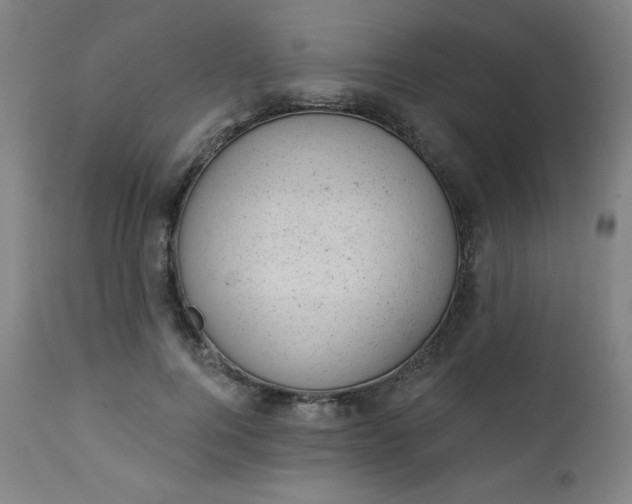 X0000112920744200909080933