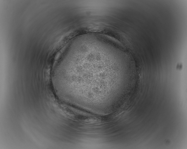 X0000112920745200909080933