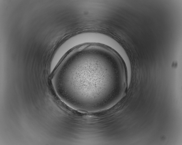 X0000112920748200909080933