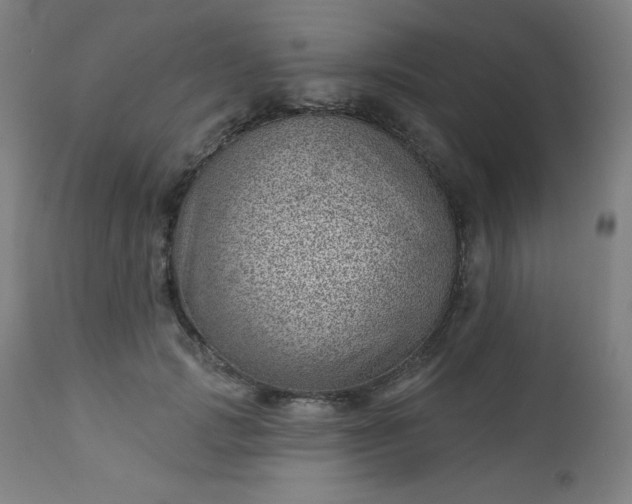 X0000112920749200909080933
