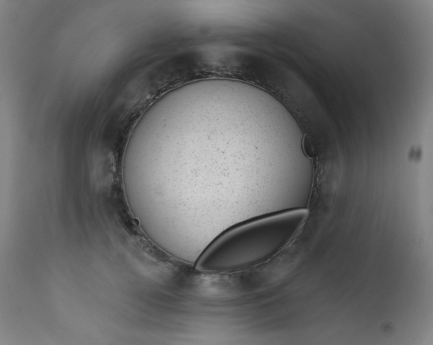 X0000112920752200909080933