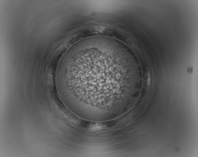 X0000112920754200909080933