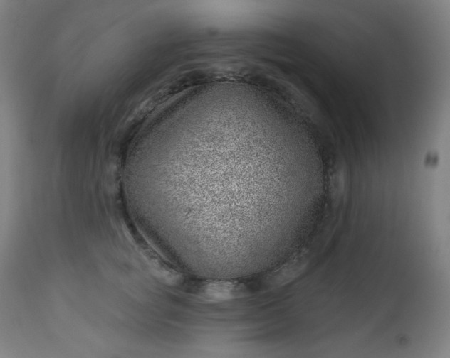 X0000112920757200909080933