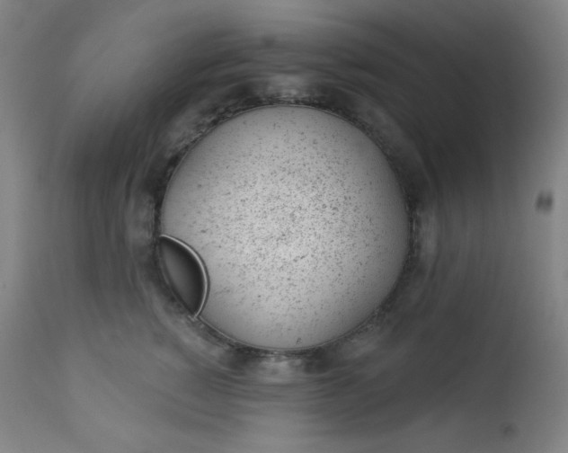 X0000112920760200909080934