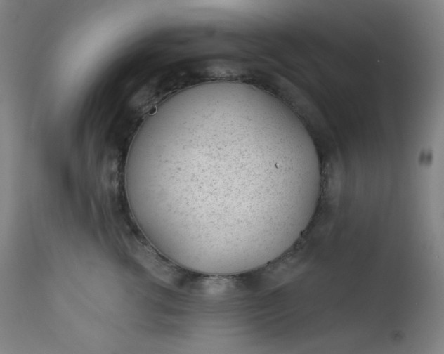 X0000112920762200909080934