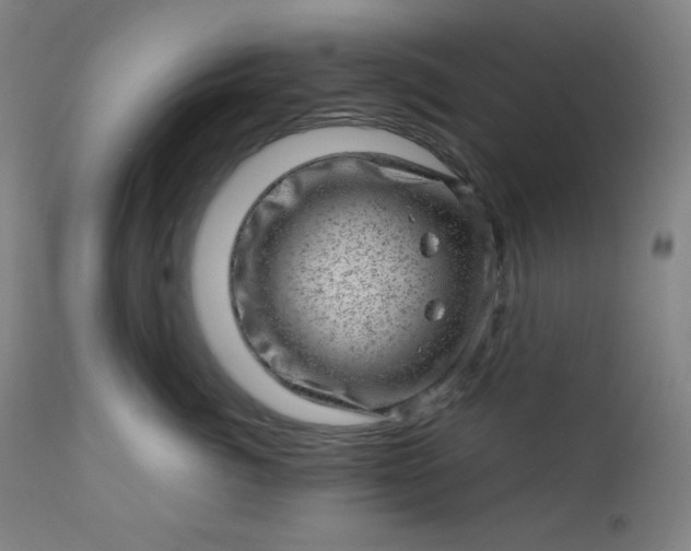X0000112920764200909080934