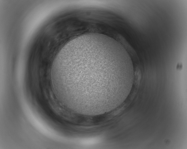 X0000112920765200909080934